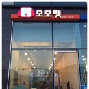 모모애견샵 이미지