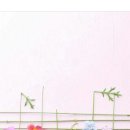 안덕마을 이미지