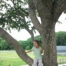 소원목장 이미지