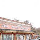 두루두루원예 | 남해 멸치쌈밥 맛집 남길 요리없는 배가네멸치쌈밥