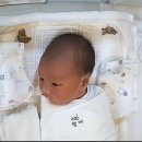 디엘린산후조리원 | 디엘린 산후조리원 후기 (열매와 함께 D+16)