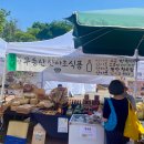 무등산 산야초식품