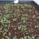 (주)골드레몬 이미지