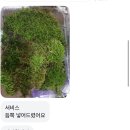 이해주농장 네이버블로그