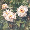 수채화B 이미지