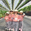 약동초교(병설) 이미지