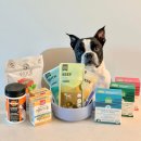 별이 펫푸드 | 강아지생식,화식,사료,영양제 펫푸드 쇼핑몰 포옹 앱에서 한번에