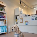 아담동물병원 이미지