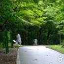 성주산자연휴양림 이미지