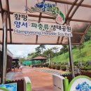 양서·파충류생태공원 아나콘다관 | 광주근교 함평 양서파충류전시관 아이와함께 가볼만한곳 비오는날 실내체험