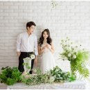 스튜디오브라이트 이미지