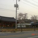 화원읍사무소 앞 이미지