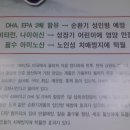 춘천송어