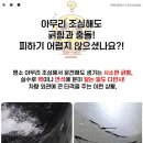 오샤레 - 여수시 신기남3길 24 | 오샤레