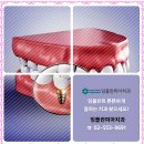 선진치과의원 네이버블로그