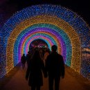 강빛사랑 이미지