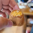 고모저수지 이미지