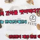 페티즈(petis) 이미지