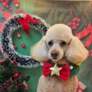 덕자네 미용실 이미지