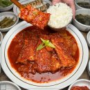 아이올래 이미지