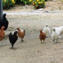 정다운마을 이미지