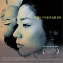 나비여행사