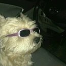 (주)이지엠앤씨 이미지