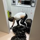 크린퀸 이미지
