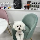 개발소 | 뭉이미용실#개발소