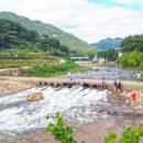 소나무풍경펜션 이미지