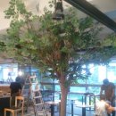 느티나무사우나 이미지