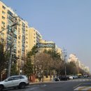 압구정-209 이미지