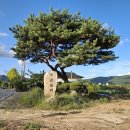 평화쉼터 이미지