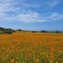아름다운 하동 강숲별 그리고 바다 | 가파도와 청보리축제 / 배진성