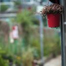 용산-234 이미지