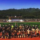 팀크레모아 이미지