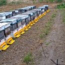 장수양봉원 이미지