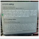 보리마당 골목길 이미지