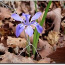 사람들과 자동차 이미지