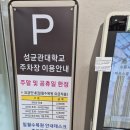 마당이수목원(자작나무동) | 6월 수원 - 일월수목원 산책 후기