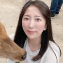 바시투어 이미지