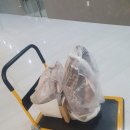 백승진농장 이미지