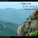 [밀재~버리미기재]-'씩씩한 공주님들, 대야산 직벽에서 울먹이다.' 이미지