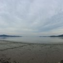 해안서로 Daum카페