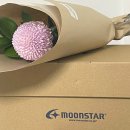 짐 클래식(GYM classic) 이미지