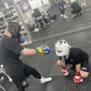 슈가복싱 이미지