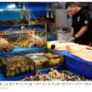러시아는 일본의 금지 조치 이후 중국에 생선 및 해산물 수출을 희망하고 있습니다. 이미지