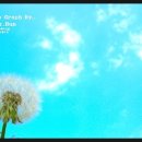 로이드 - 북구 동천로 136 | 로이드