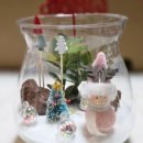 12/2 크리스마스 테라리움 이미지