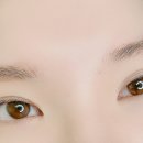 프롬비 이미지